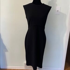 Express Black Sleeveless Dress zipper seam